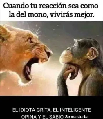 HORMIGA_RETURNS's tweet image. 