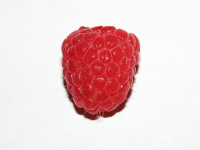 Pest15's tweet image. Happy National Raspberry Day!  Here is one for your viewing pleasure  😊 #FoodHoliday #RaspberryDay