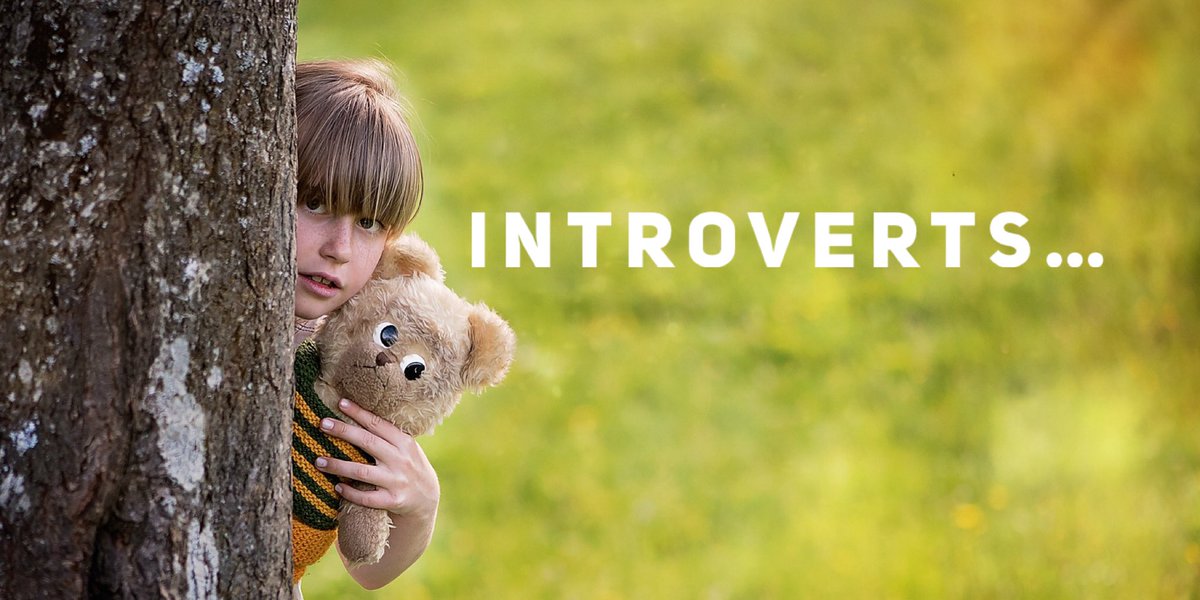 It’s wearisome when considered incapable or not very bright. Just because we don’t like phone calls or do things immediately or embrace socializing doesn’t mean we’re not intelligent or don’t have feelings. 
Not introverted?
Please understand us.
#introverts #personalities #shy
