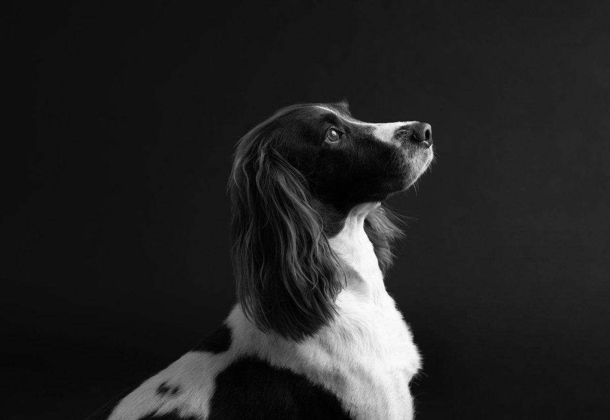 Dr Caroline Finlay tweet media