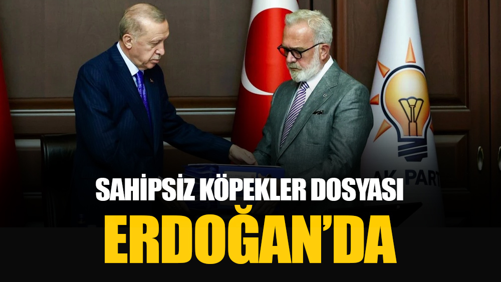haberpota's tweet image. Bahadır Yenişehirlioğlu sahipsiz köpeklere ilişkin raporu Erdoğan&apos;a sundu
#SahipsizKöpekler #SokakKöpekleri #Erdoğan #BahadırYenişehirlioğlu 
ittifakgazetesi.com/bahadir-yenise…
