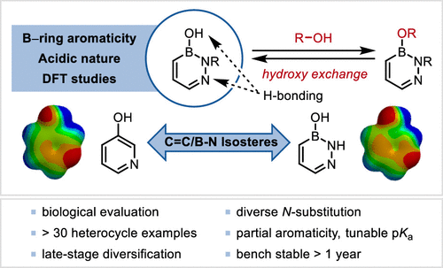Removing  Neighboring Ring Influence in Monocyclic B–OH Diazaborines: Properties  and Reactivity as Phenolic Bioisosteres with Dynamic Hydroxy Exchange (<a href="/HallBoronLab/">Hall Research Group at UAlberta</a>, <a href="/JakeBlackner/">Jake</a>): pubs.acs.org/doi/10.1021/ja… (<a href="/J_A_C_S/">J. Am. Chem. Soc.</a>).