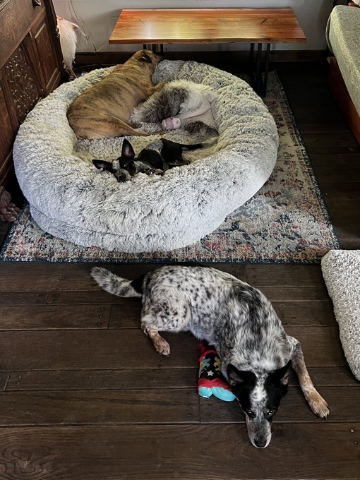 Watch Cam Damage (Trans Reznor)'s leaked NSFW photo on TwXstars