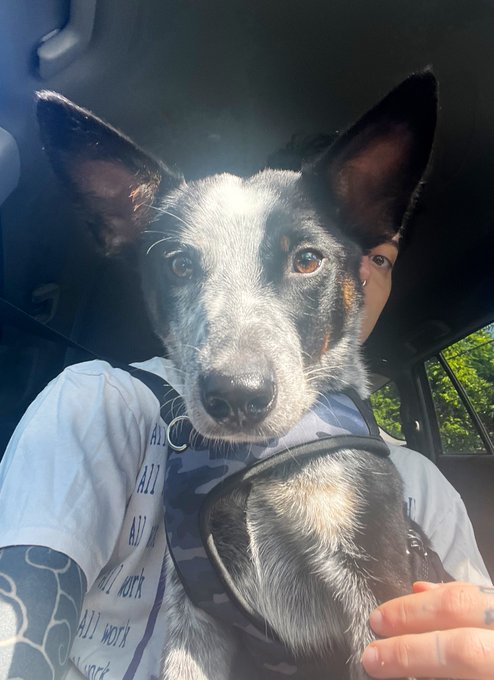 Watch Cam Damage (Trans Reznor)'s leaked NSFW photo on TwXstars