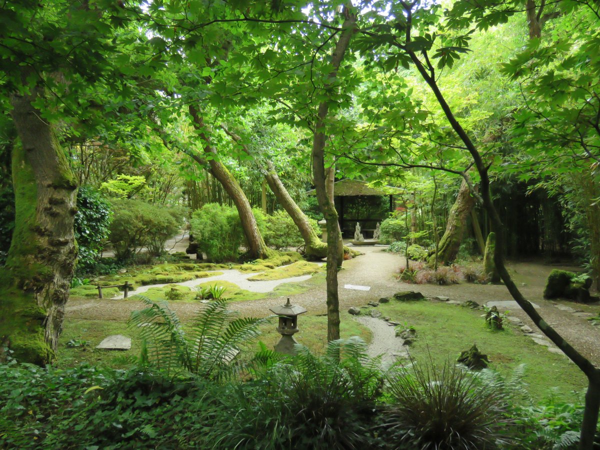WellyWilk's tweet photo. Spent a lovely peaceful hour or so at The Japanese Garden in St. Mawgan this afternoon. Such a beautiful and tranquil place. #Cornwalldaysout #Cornwall #Japan #Cornwallgardens https://t.co/7vWOqcApVX