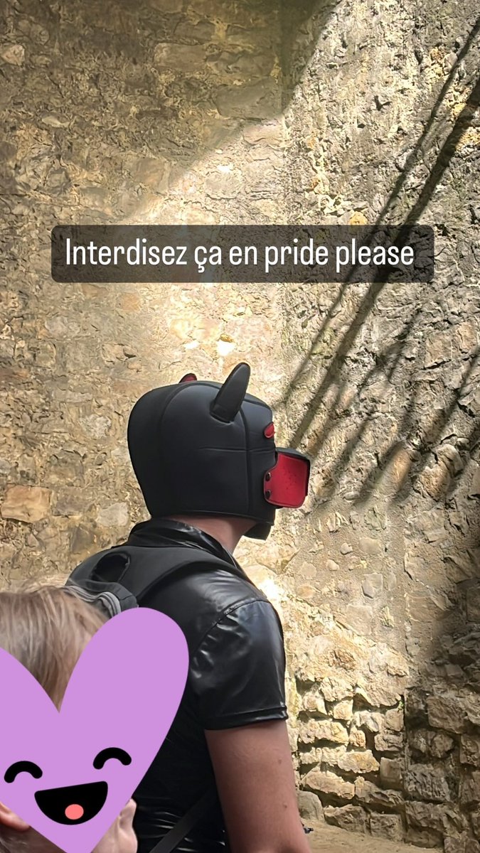 Tant pis si je me met dans la sauce mais mettre des masques de chien en pride ou montrer vos kinks c’est tellement déplacé et ça revendique rien du tout, vous êtes grave la honte de cette communauté, attaquez moi si vous voulez je m’en fou