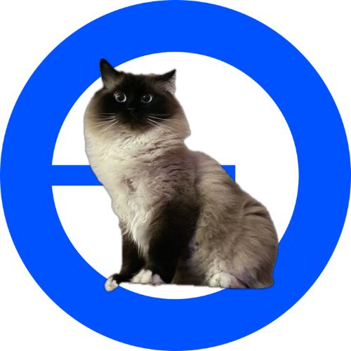 MooseOnBase's tweet photo. $Moose https://t.co/gB142BnxyZ