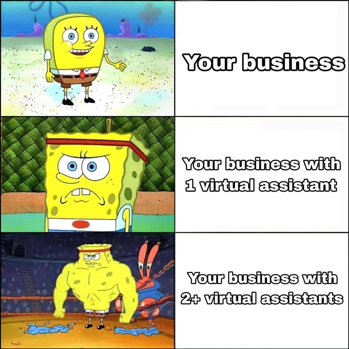 We asked our team to make some memes.