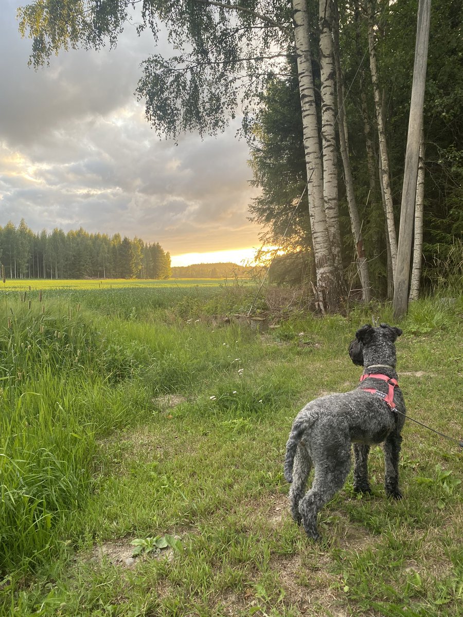 Toscanalainen valaistus kantahämäläisessä kesäehtoossa. Hyvää kesälomaa kaikille lomalaisille😎