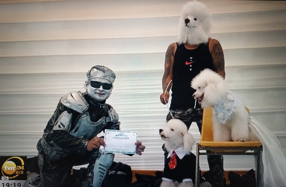Supermolecule01's tweet image. Za @FaktyTVN, na świecie psy biorą uroczyste śluby, o ironio błogosławione czasem przez księdza. Tymczasem w Polsce @nowePSL oczekuje, że dwójka ludzi będzie być może mogła ewentualnie zawrzeć związek partnerski, ale po cichu i maks. w składziku na miotły USC. Dom wariatów🙃