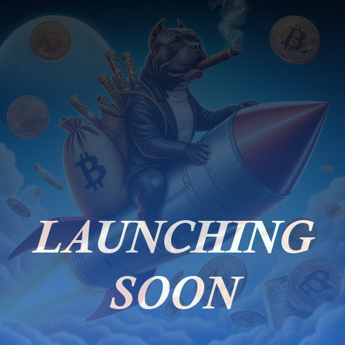 BibuToken's tweet photo. $BIBU  The time is coming. Launching Soon.
#Bullmarket #BIBUlifestyle #BITBULLlife https://t.co/qMF3NQoQ77