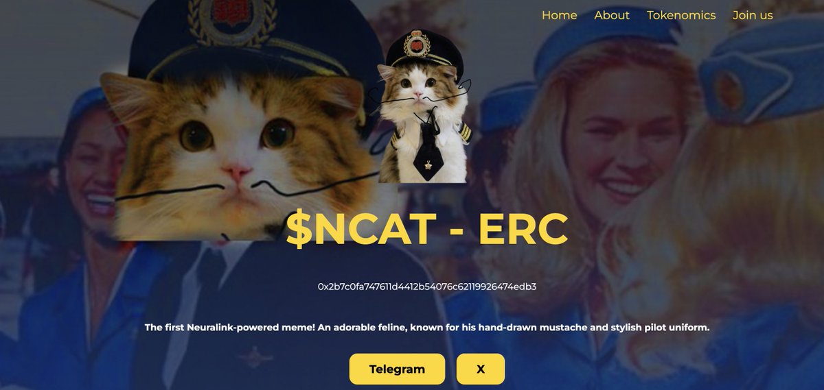 $ncat website ⏳