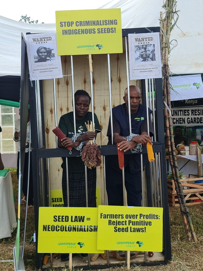 The seed &amp; plant varieties Act allows Bill Gates &amp; Multinational seed co's to encroach on our African traditional seeds to tinker with them to produce faster as improved varieties, then file for PATENT only to enslave our farmers to buy those improved seeds from them.