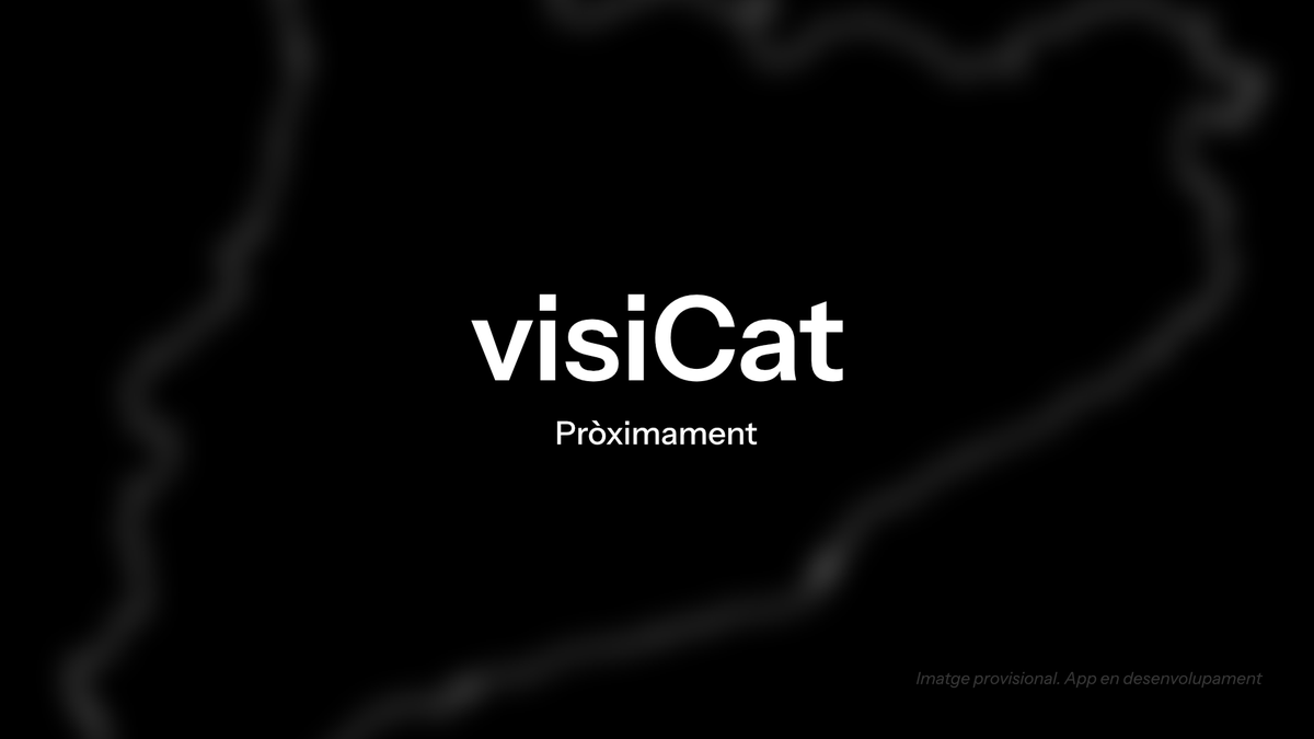 visiCat tweet media