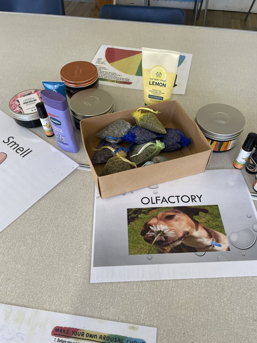 #HelloMyNameIs Lilly OT 💕 tweet media