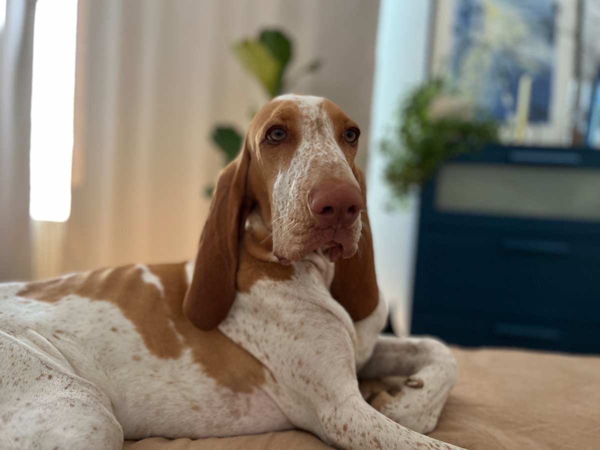 Макакачечка 🇺🇦 tweet media