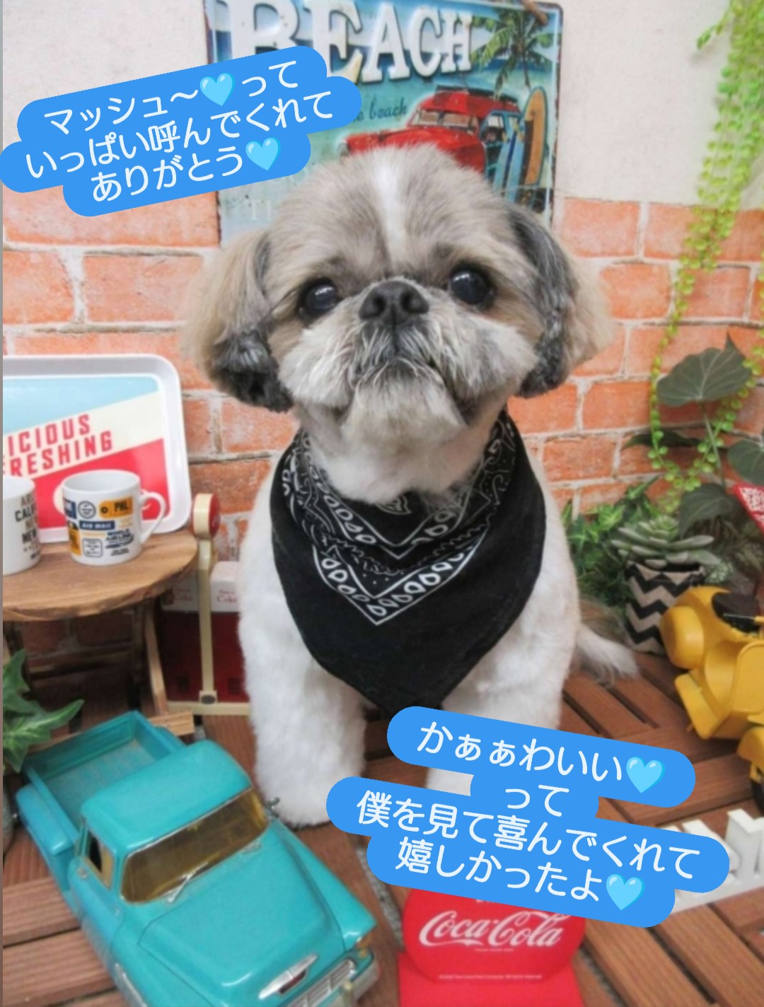 eryuto🩵 (@eryuto12728) / X eryuto🩵 (@eryuto12728) / X