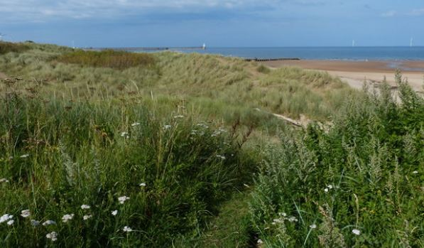 Newcastle and Tyneside Orienteers tweet media