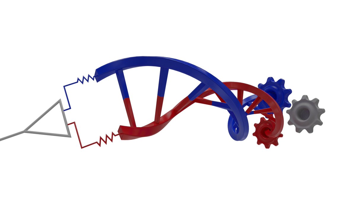 TÜBİTAK 2244 burs/destek programı ile laboratuvarımızda, Synbiotik Biyoteknoloji şirketimizde istihdam edilmek amacıyla -hücresel terapilere yönelik DOKTORA programımıza üç kişilik kontenjan açılacaktır (2025 bahar döneminde başlamak üzere). 
İlgilenen arkadaşlar