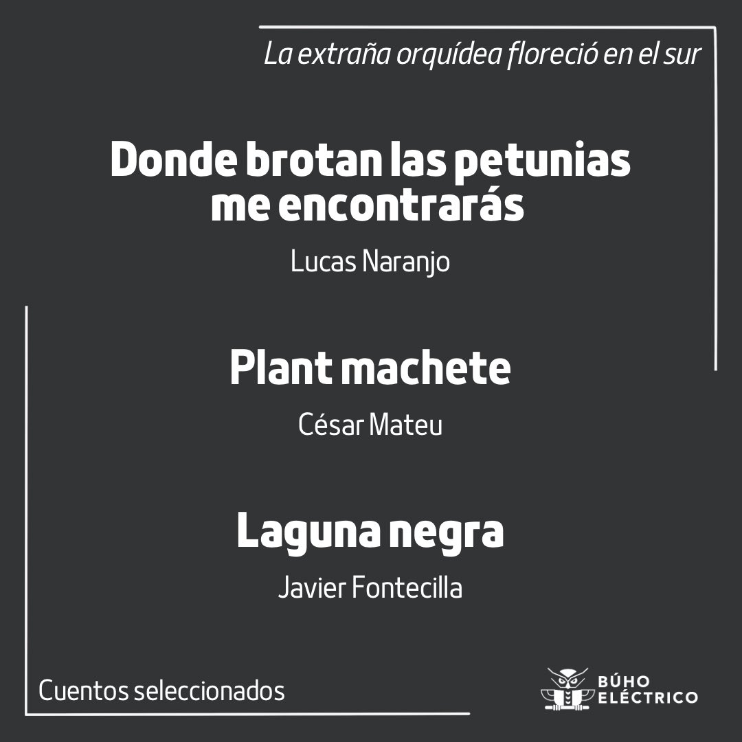 buhoelectricope's tweet photo. ✅ Damos la bienvenida a 20 nuevos autores y autoras que formarán parte de la primera antología de ecohorror que publicaremos. ¡Felicidades! (1/2)
#convocatoria #ecohorror #ecoliteratura #ecoficción #perulee #latamlee #escritor #nuevolibro https://t.co/KK2By0lTNM