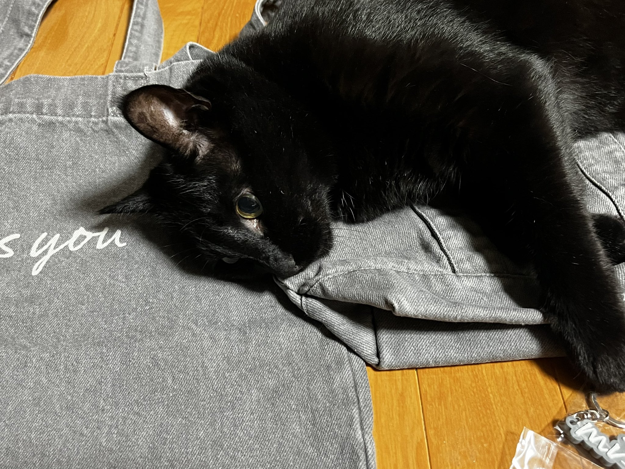 黒猫さま専用₍ ᐢ. ̫ .ᐢ ₎