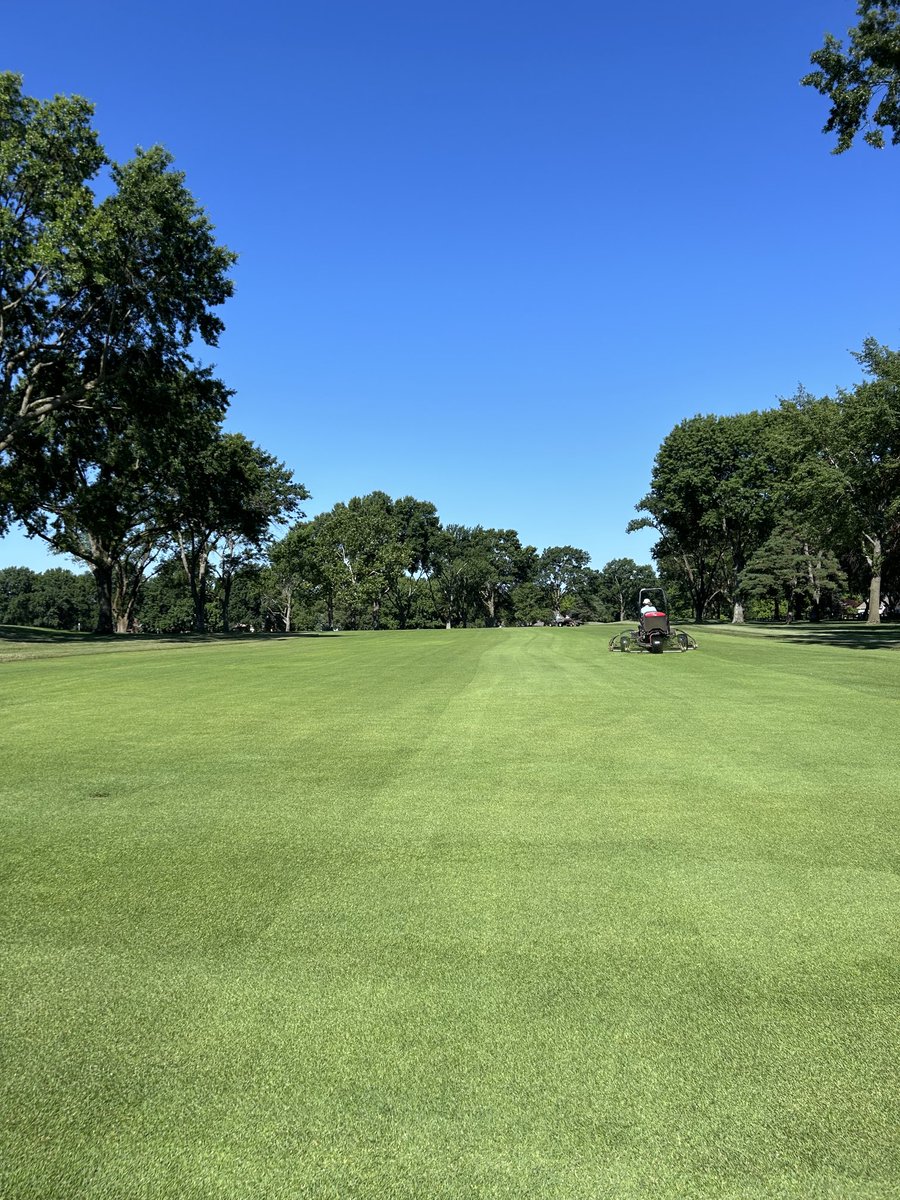 CRgreenside's tweet image. Finally able to get some mowers out. Mowed fairways, greens and primary rough this morning ahead of play. 10 &amp;amp;15 will remain cart path only today. If we miss tonight’s rain we can bust out the roller tomorrow. ☀️☀️

#TweetForMembers #CCL#Superview