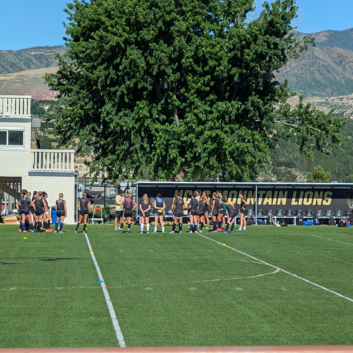 Schroeder-00 tweet media