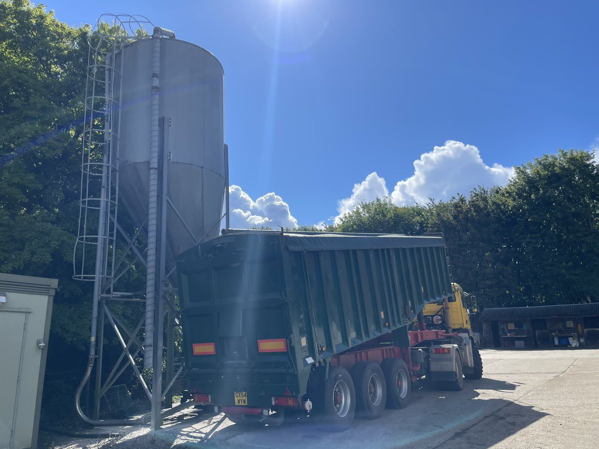 Peter Snell (@snellpeter2) on Twitter photo Grain maize delivery. Give me a message if you are looking for any, bulk, tipped, blown, half tonne and tonne bags, even 20 kg bags. Split or whole. Can blend. 
Pheasants, partridge, cattle, sheep, poultry. Grain maize delivery. Give me a message if you are looking for any, bulk, tipped, blown, half tonne and tonne bags, even 20 kg bags. Split or whole. Can blend. 
Pheasants, partridge, cattle, sheep, poultry.