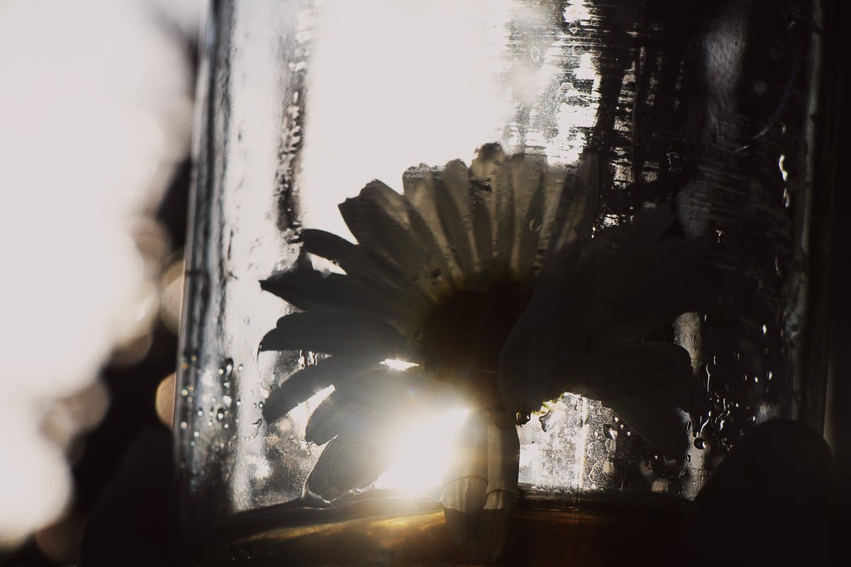 OE now available on <a href="/objktcom/">objkt</a> 

1 $XTZ

objkt.com/tokens/KT1AgCX…