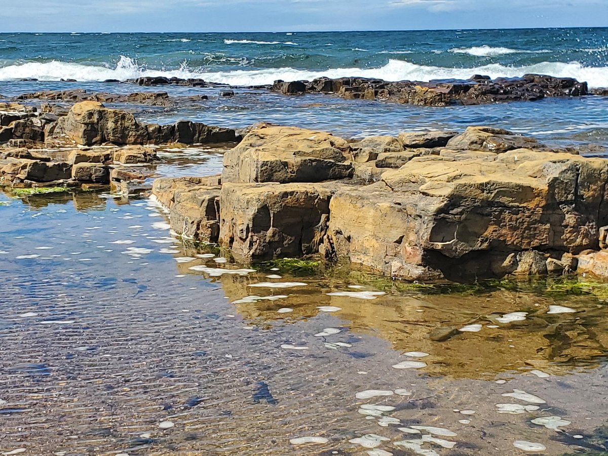 blonde_on_bikes's tweet photo. Went East to the Cocklawburn Beach, Scremerston for some better weather.
#eastcoast #beachwalk #Northumberland #scremerston #England https://t.co/dyqRyJ9MxY