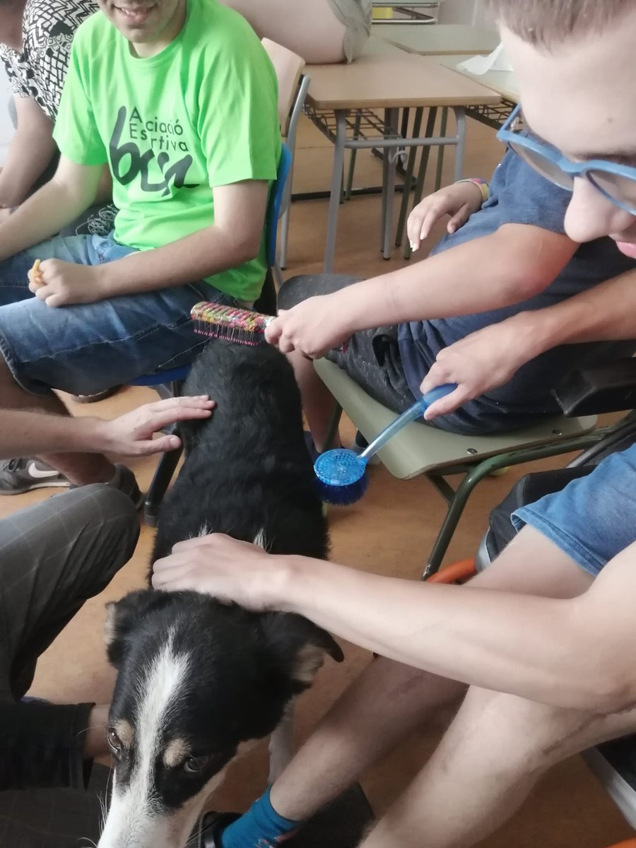 apdir2015's tweet image. Ja estem en mode casal d estiu! #rubicity  #diversitat #escolacanoriol