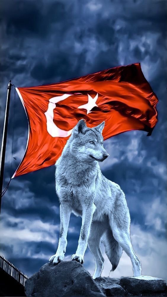 BartuSoral's tweet photo. Türk tarihiyle, Türk milletiyle, Bozkurt efsanesiyle, Atatürk’ün kurduğu cumhuriyetle, ulus devletimizle, Merih Demiral’la ve Milli takımımızla gurur duyuyorum.

Ne Mutlu Türküm Diyene. https://t.co/QRpPb9OgWp