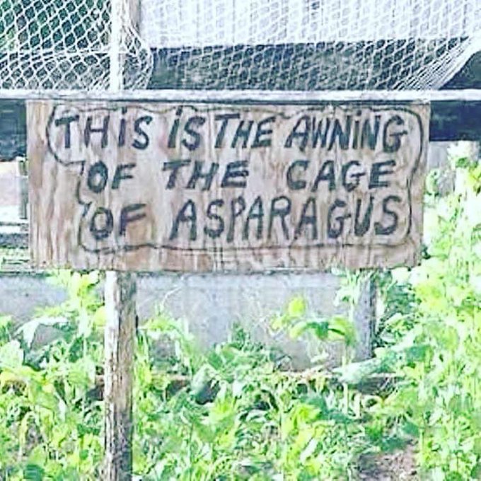 ChessieR's tweet image. Was offline with a computer issue, am back just in time for S4S, so LAUGH! IT'S GOOD FOR YOU!!
#CSRobertsAuthor #AwarnessperPetrator #RaiseYourResonance #EdifyYourSelf #S4S #LaughItsGoodForYou