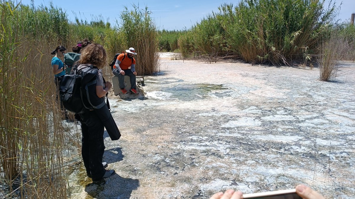 HealthXCross tweet media