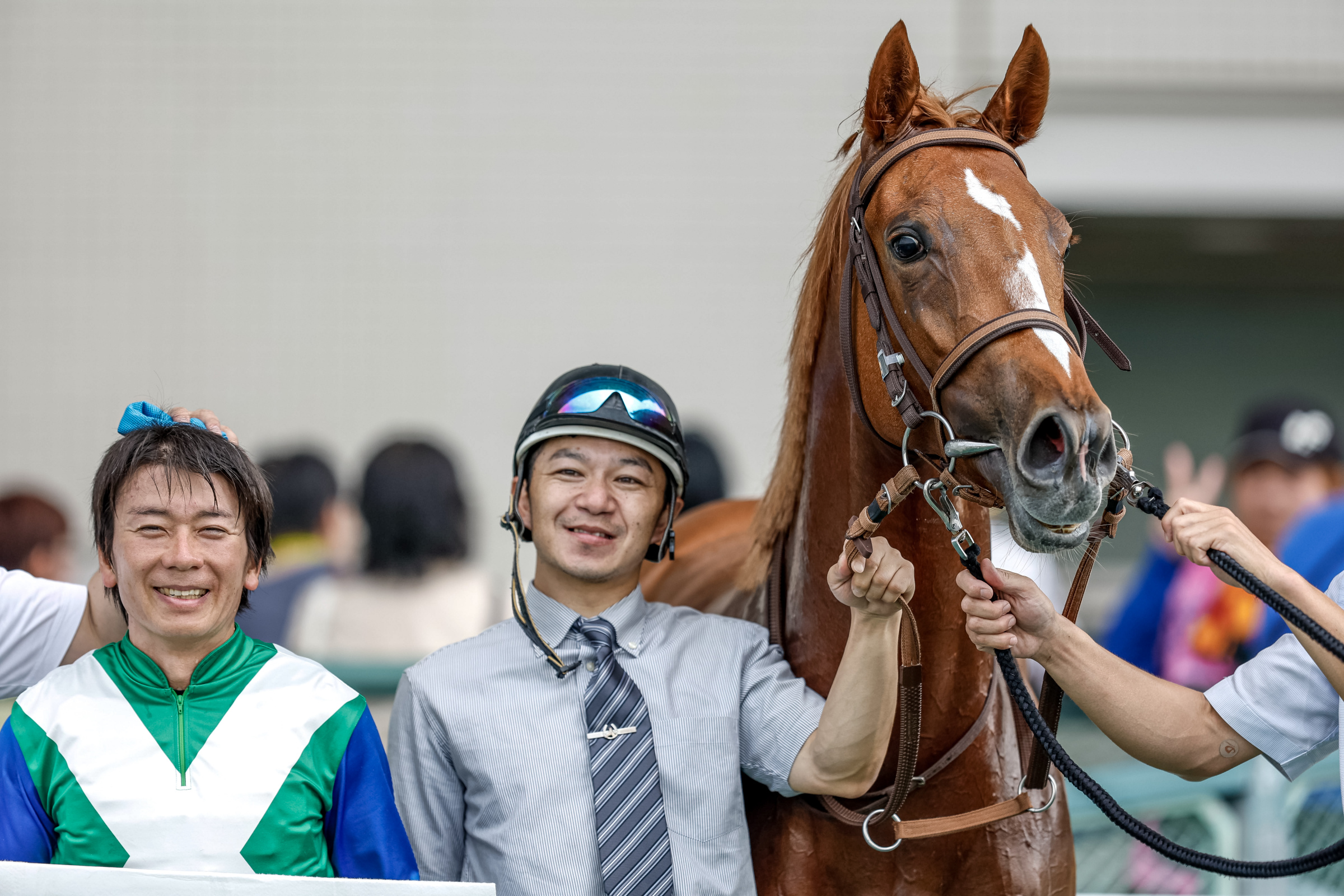 馬到成功 2014年 午年 記念珍蔵版 G0AD7uMbkAY-qE6.jpg