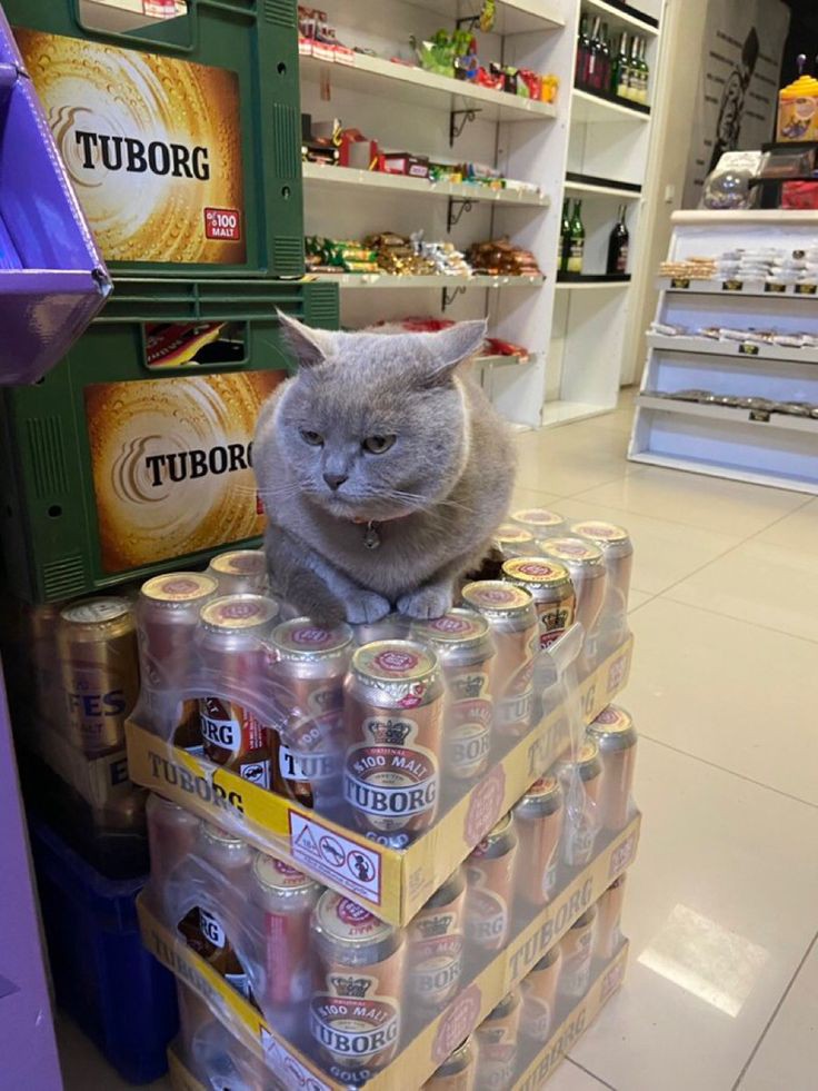 Bunlar bizim komutanım