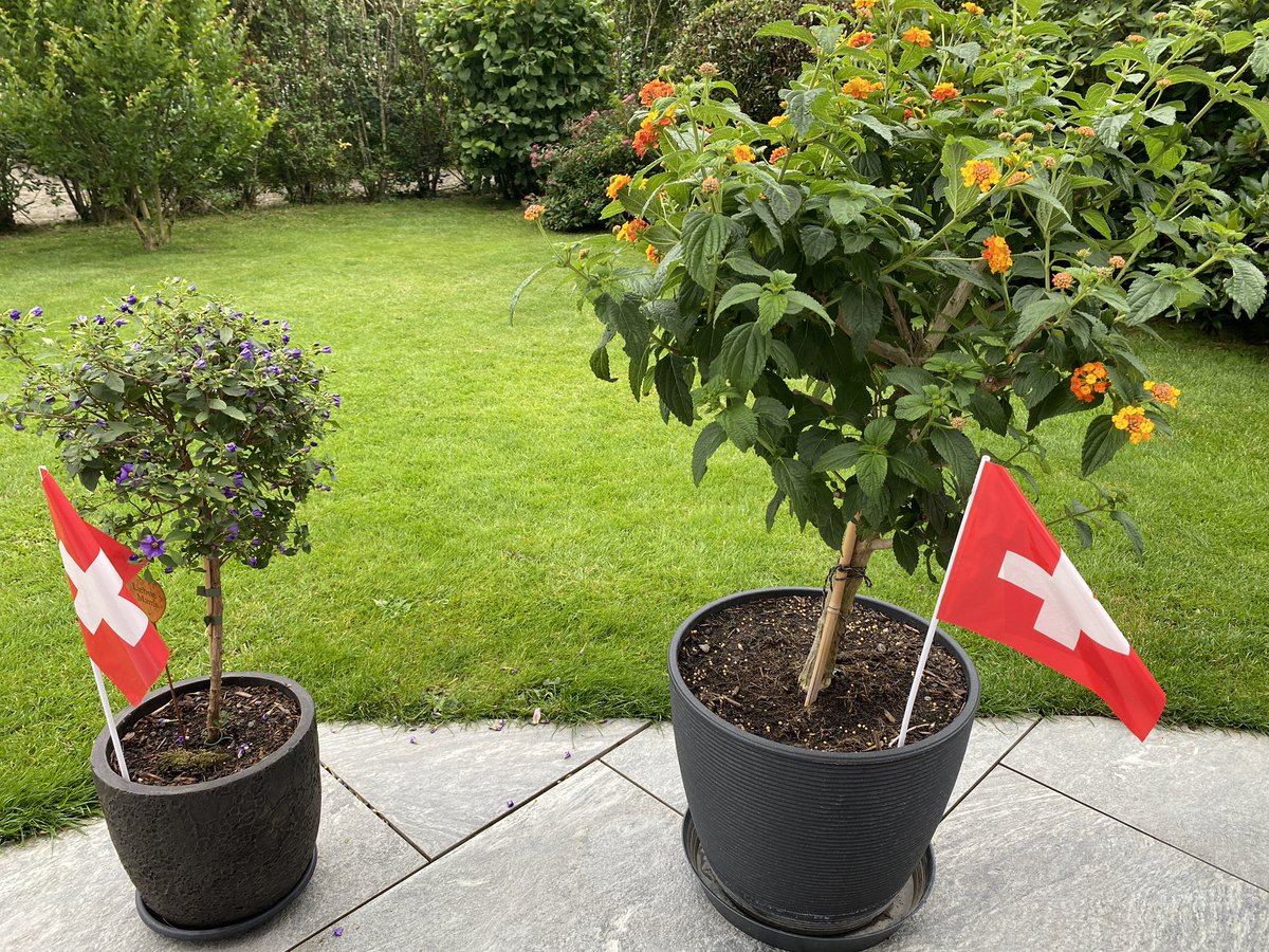 CtfCrea's tweet image. Wir wären also bereit - hopp 🇨🇭
 #ENGSUI #EURO2024