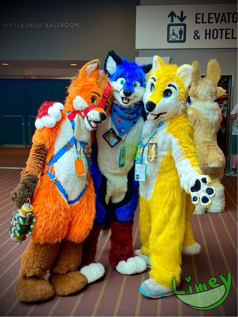 Look at these 3 cute beans! 💚💚

<a href="/BladeFoxxy/">Blade_The_Fox</a>
<a href="/foxalbiazul/">Albi Azul</a>
<a href="/Goldenwolf2879/">Goldenwolf the twinkiewolf</a>

#AC2024
