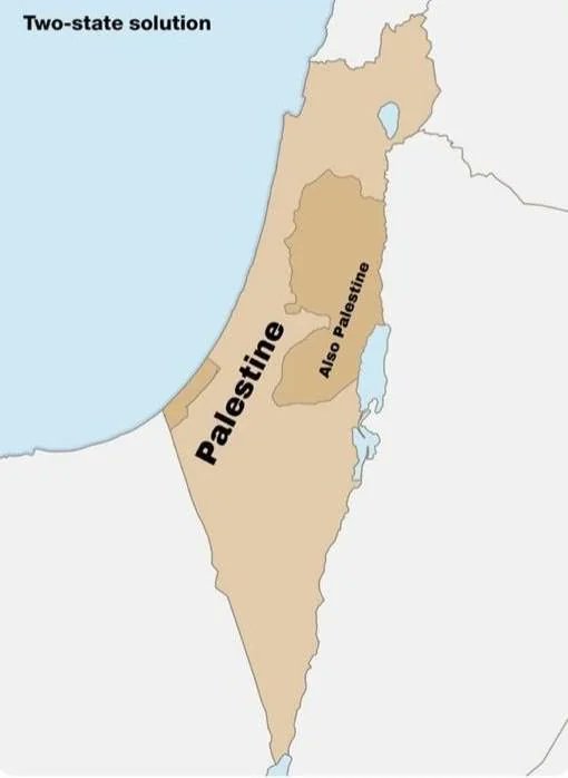 ✦✦✦ 𝙿𝚊𝚖𝚙𝚑𝚕𝚎𝚝𝚜 ✦✦✦ tweet media