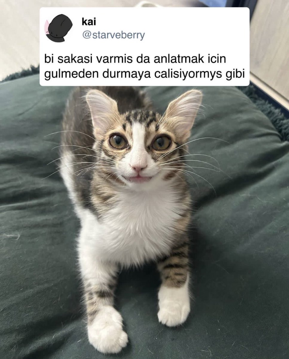 Bence daha çok hakan çalhanoğluna benziyo