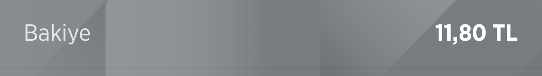 Kariyer mi yapsam, ehliyet mi alsam, lazere mi gitsem, çeyiz mi düzsem napam derken hesabımdaki 11 tlnin bana bakışı :((