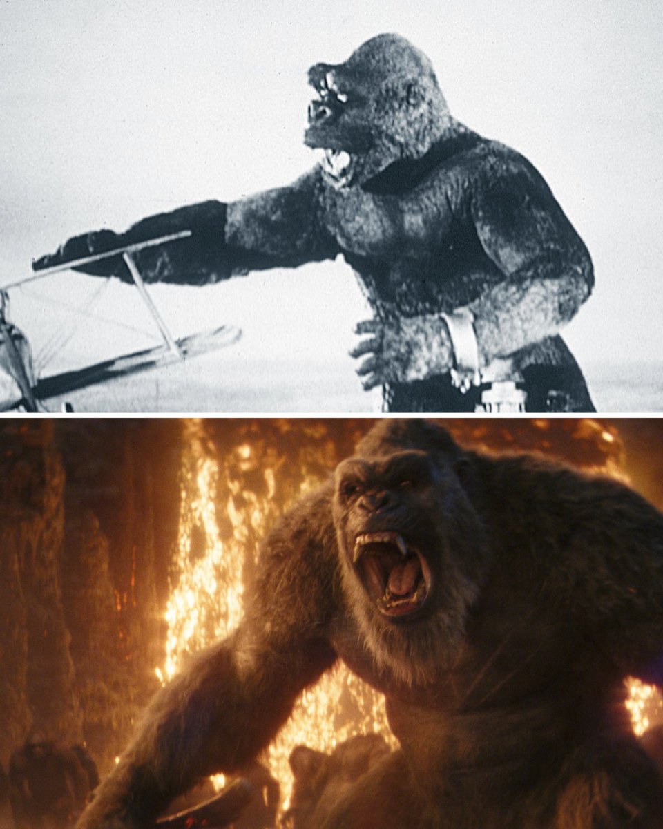 Godzilla x Kong tweet media