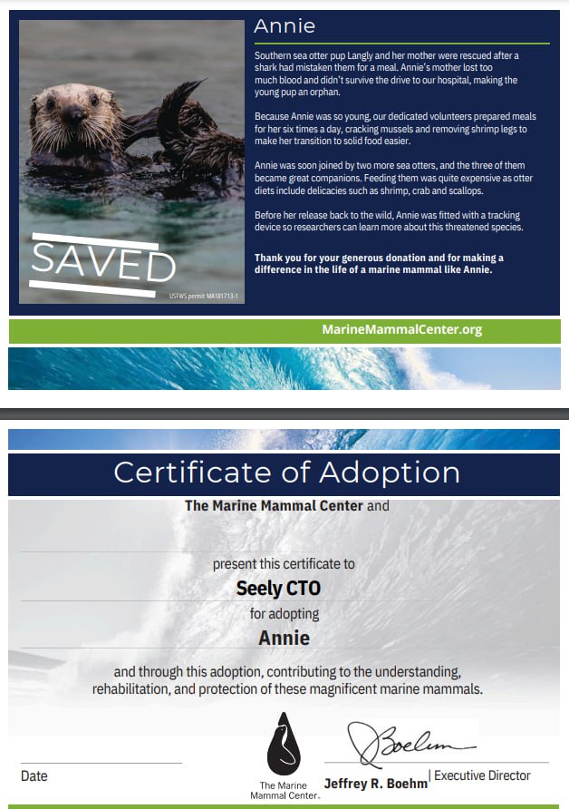 SeelySol's tweet photo. @bazingahappy dad! i have a new fren - Annie! $seely community has adopted a seal <3 https://t.co/Zepe72FW09