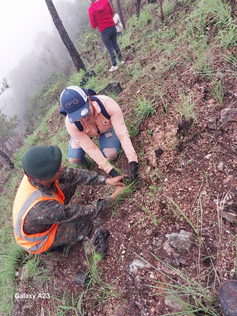 Ejercito_GT's tweet photo. Cuidar el medio ambiente es responsabilidad de todos. 🌳🌍
Segunda Brigada de Infantería del #EjércitoGt, en coordinación con personal de la Municipalidad de Quetzaltepeque, #Chiquimula y #UGAM, realizaron jornada de reforestación en cerro de Lagüis, sembrando así 1,500 árboles. https://t.co/xPbSsW6m98