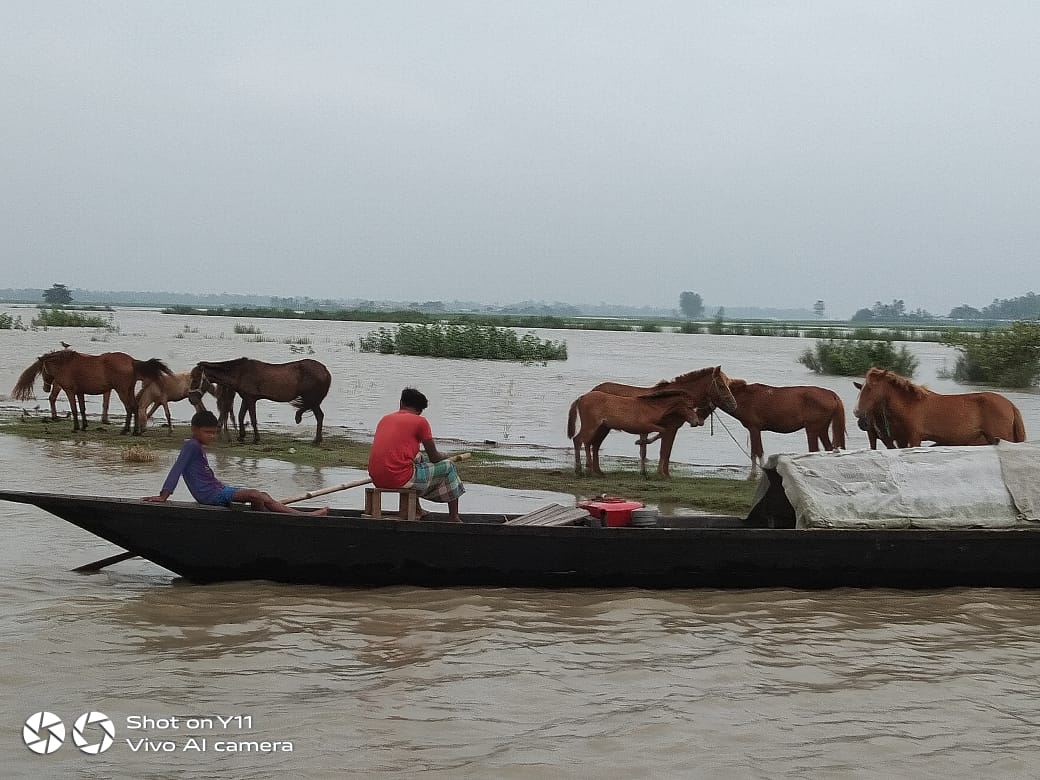 BdConcern's tweet photo. Flood affected thousands people  in northern🇧🇩 leaving homeless, losing households  assets, livestocks. @Concern along partners on the ground with #Emergency support #humanitarian @eu_echo @CAREBdesh @ConcernNI @concernwwus @ConcernUK @concernwwus https://t.co/kn9wQlyzen