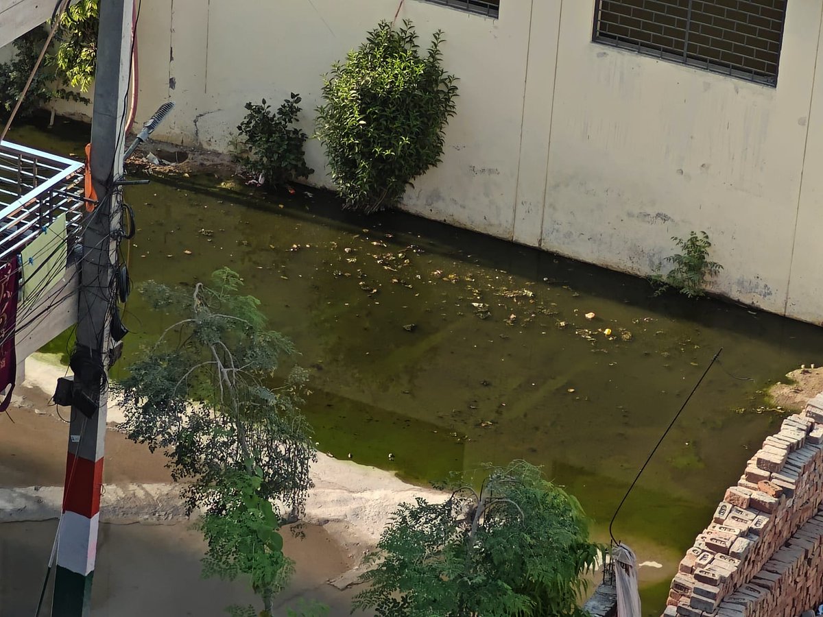 arbingr8's tweet photo. Mohan Garden ramchander enclave. Radhey Radhey Society, Apke ward se. Humme bhi adat pard gae hai. Koi sunne dekhne wala nahi hai. Koi samadha nahi hai https://t.co/9K1NDIdthI