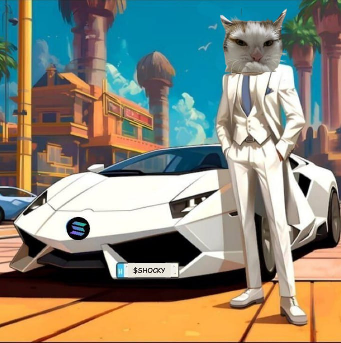 CesaniJeremiah's tweet photo. @famous_dyl $shocky is here to gap all the trash, led by a massive discord trading community we have decided to take over this fire meme 

CA: Au8Y9behLwDpw6aDfwx6BuHjFSBpXKcWRWKca9Kpump https://t.co/db6TwTYqrZ