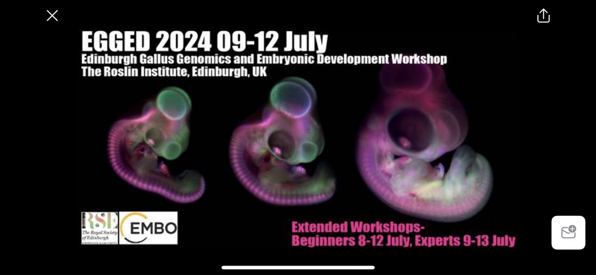Dr Megan Davey (@twobluechickens) on Twitter photo Less than 48 hours until our chicken embryology workshop- EGGED 2024-starts. The incubation schedule is manic…😬🐣<a href="/EMBOevents/">EMBO Events</a> <a href="/RoyalSocEd/">Royal Society of Edinburgh</a> <a href="/roslininstitute/">The Roslin Institute</a> #EGGED2024 Less than 48 hours until our chicken embryology workshop- EGGED 2024-starts. The incubation schedule is manic…😬🐣<a href="/EMBOevents/">EMBO Events</a> <a href="/RoyalSocEd/">Royal Society of Edinburgh</a> <a href="/roslininstitute/">The Roslin Institute</a> #EGGED2024