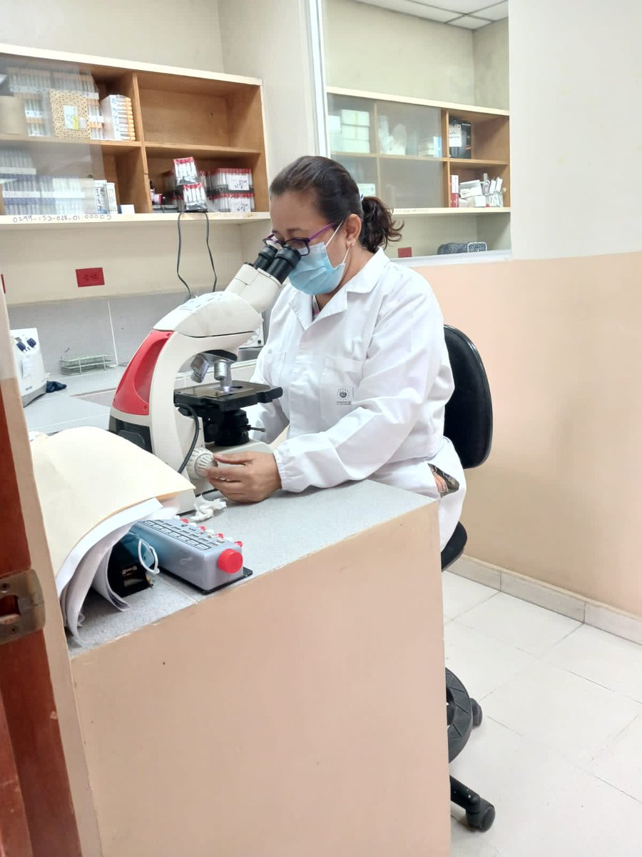 FranAlabi's tweet photo. La red de laboratorios continúa activa, ante la alerta por dengue, para el procesamiento de todas las pruebas y brindar el resultado a tiempo para la toma de decisiones.

A escala nacional, todo el sistema de salud trabaja para garantizar el bienestar de la población. https://t.co/RhfOQIjSg5