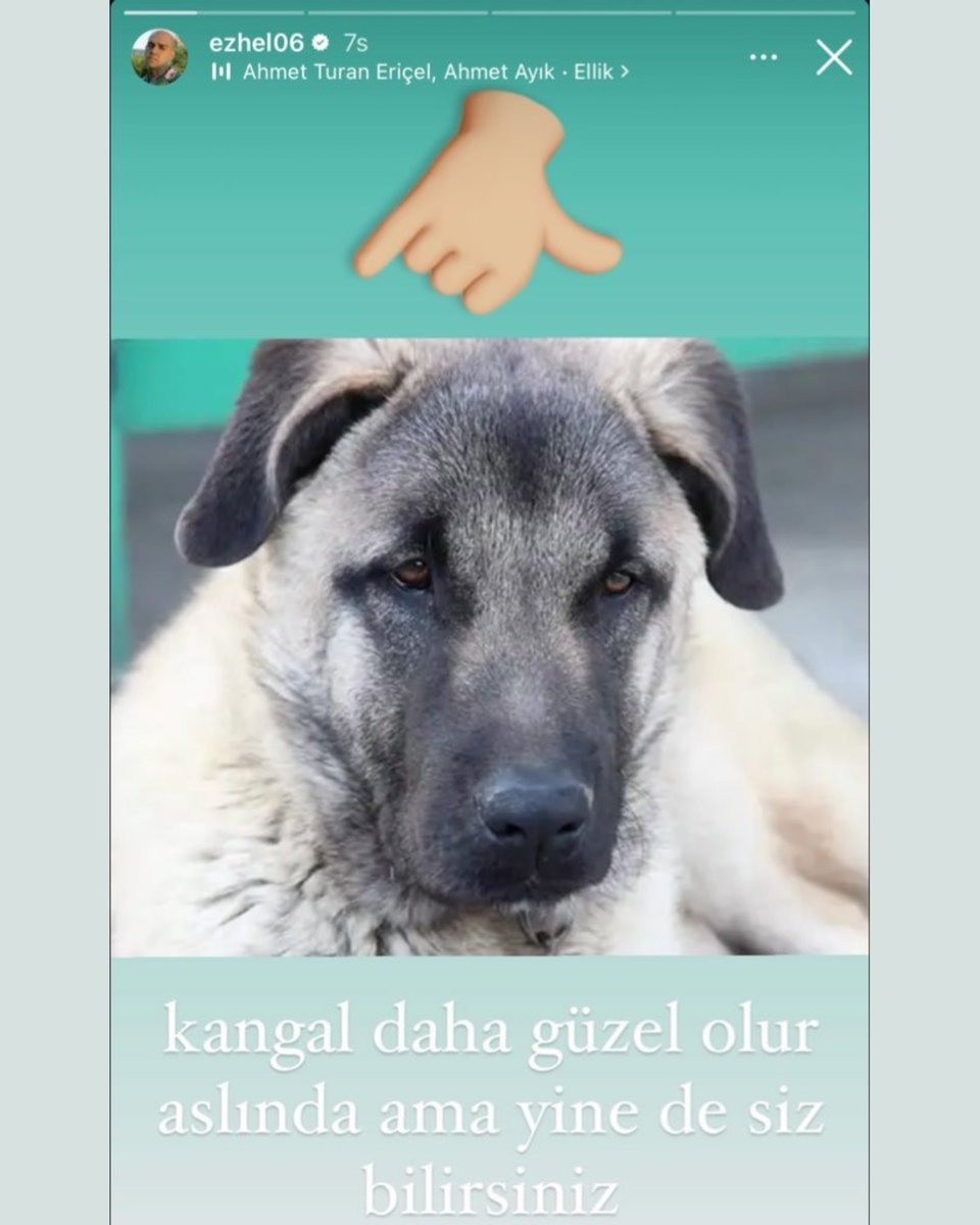 ajans_muhbir's tweet photo. Rapçi Ezhel’in paylaşımı büyük tepki topladı: https://t.co/aR0o1e7wVr